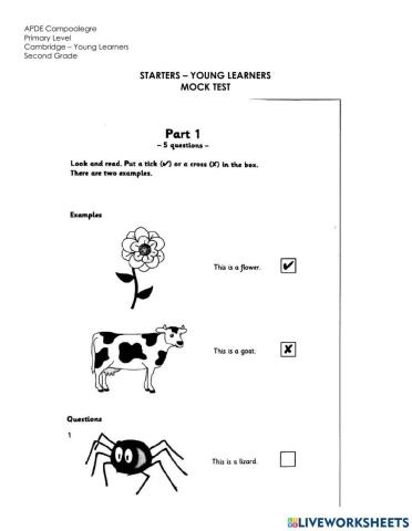 Starters young learners mock test reading and writing