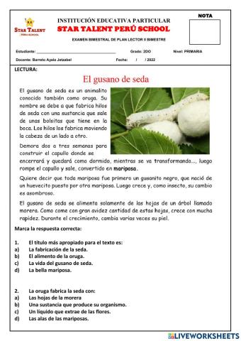 Examen de plan lector