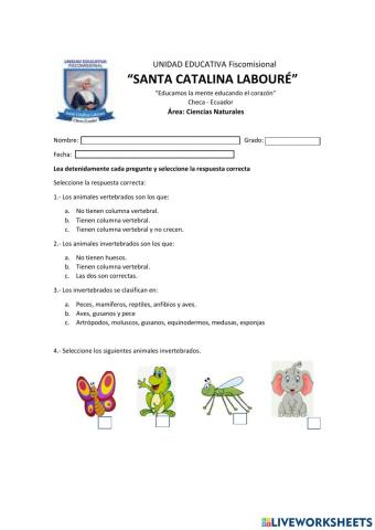 Animales vertebrados e invertebrados