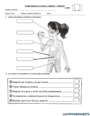 Prueba de Ciencia y Ambiente