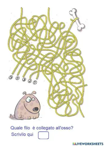 A quale filo è collegato l'osso?