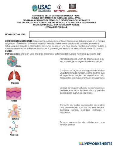 Evaluación Parcial II