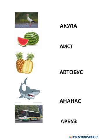 Аист, ананас, арбуз, автобус, акула