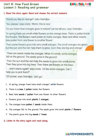 U8 L2 Reading and Grammar