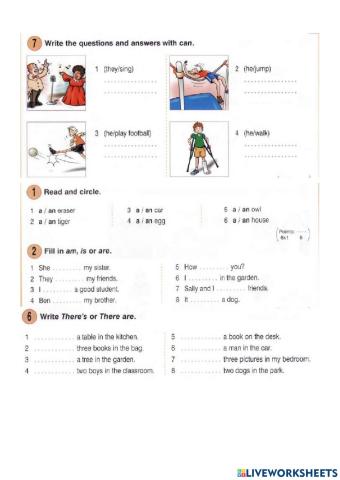 Revision: a-an, to be, can, there is-there are