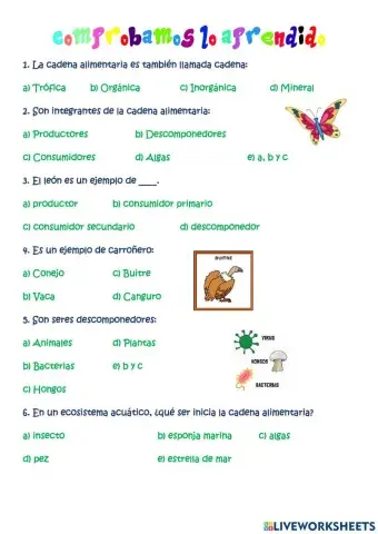 Evaluamos lo apendido
