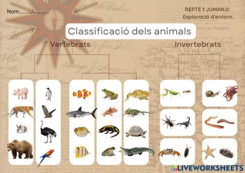 Classificació d'animals