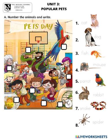 Vocabulary Unit 3 - Popular Pets