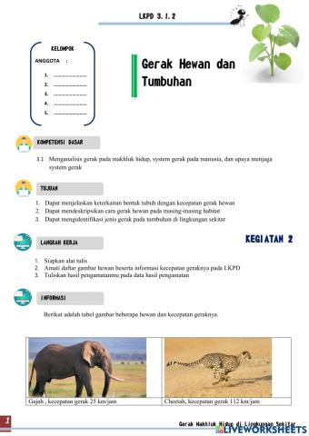 Sistem Gerak pada Hewan