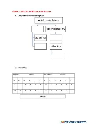 SINTESIS DE PROTEINAS