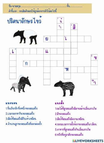 ปริศนาอักษรไขว้