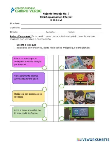 Cuidados en el Internet