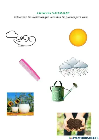 Elementos que necesitan las plantas para vivir