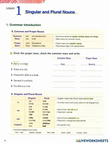 Common & proper nouns