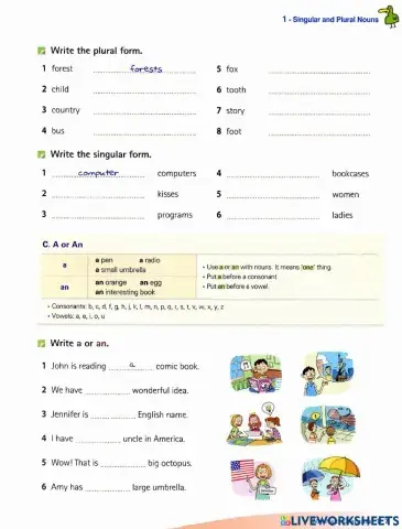 Singular and plural nouns