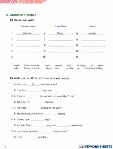 Singular & plural noun