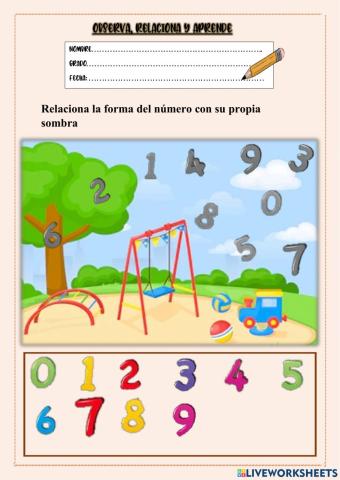 Observa, Relaciona y Aprende los Números