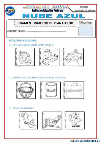 Examen plan lector