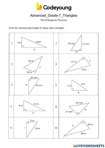 The Pythagoras Theorem Advanced