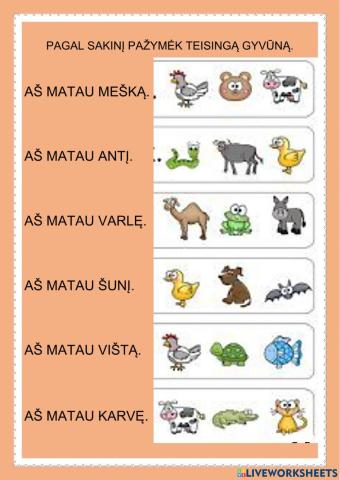 Suvokimas, skaitymas