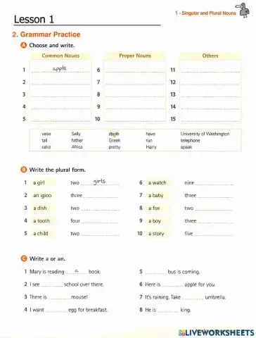 Singular & Plural nouns