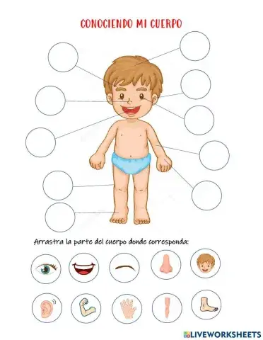 Conociendo mi cuerpo