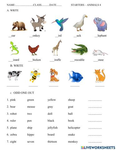 Starters animal 4