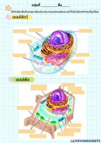 ส่วนประกอบของเซลล์