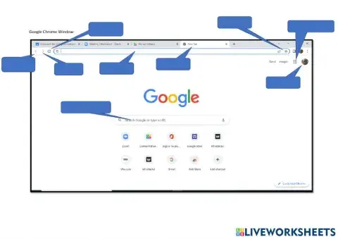Google Chrome window
