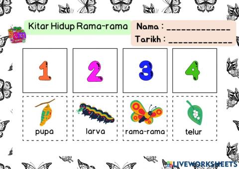 Kitar Hidup Serangga (Rama-rama, Lebah Madu, Kumbang Kura-kura)