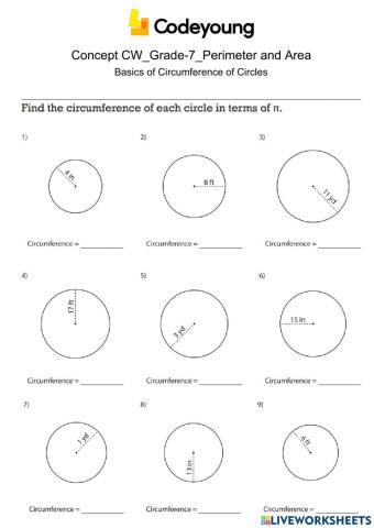 Basics of Circumference of Circles Concept CW