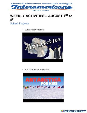 Weekly activities 13