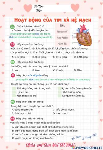 Vận chuyển các chất trong cơ thể động vật