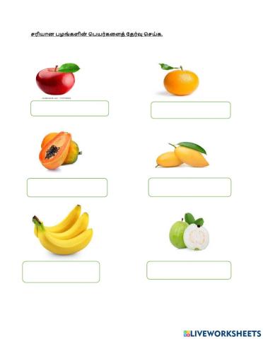 சரியான பழங்களின் பெயர்களைத் தேர்வு செய்க