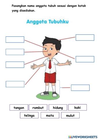 Latihan Tema 1 Subtema 2 (Mengenal Anggota Tubuh）