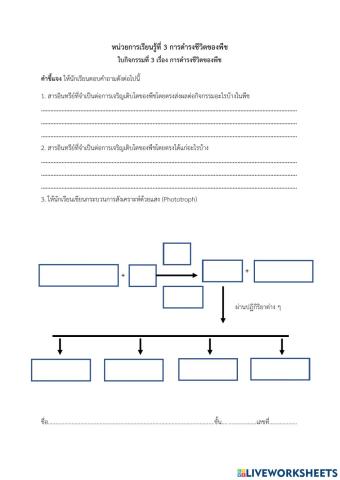 การดำรงชีวิตของพืช