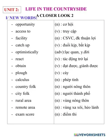 English 8- unit 2- a closer look 2