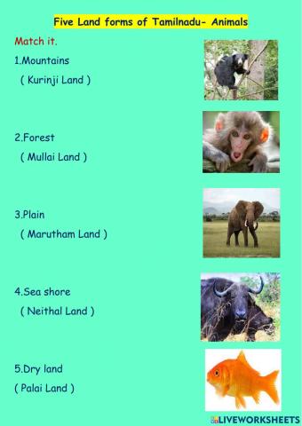 Landforms of Tamilnadu - Animals