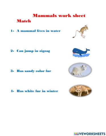 Mammals
