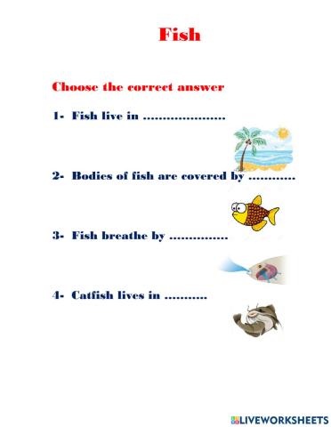 Fish