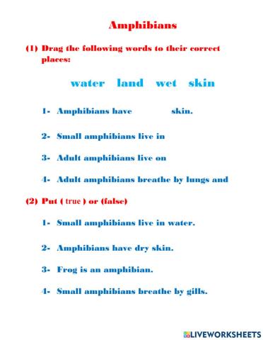 Amphibians