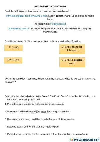 Zero and first conditional