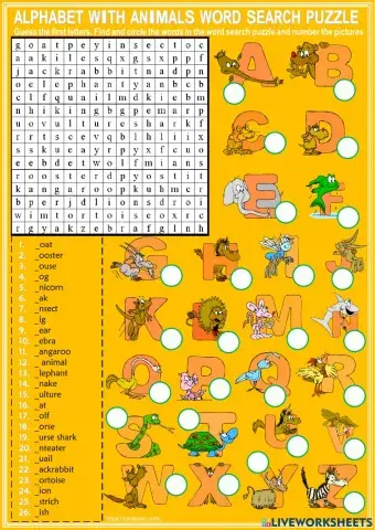 The English Alphabet