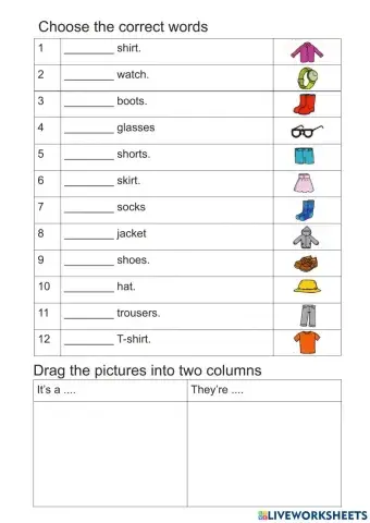 Clothes and accessories (singular and plural)