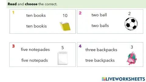 L9 - A41 - Things, Plural, Reading