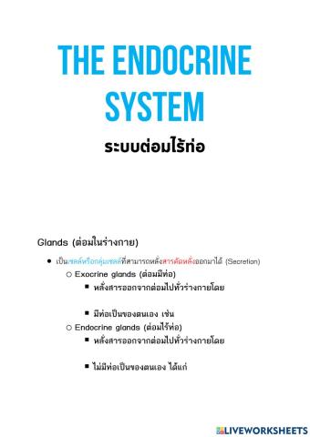 Endocrine system