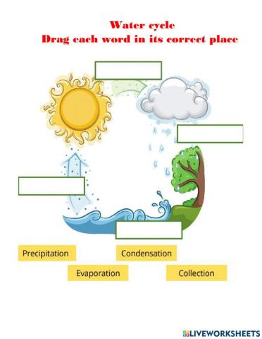 Water cycle