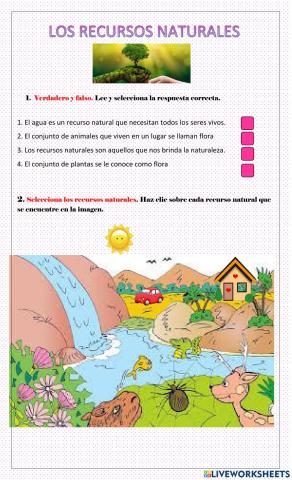Los recursos naturales