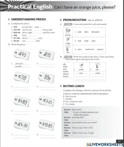 NEF beginner practical English