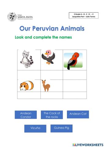 Our Peruvian animals